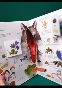 Interactive Pop-Up & Lift-the-Flap Animal World Book 3D Educational Picture Book 不一样的动物世界立体翻翻书