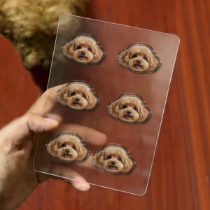 Custom Crystal Epoxy DIY Pet Stickers