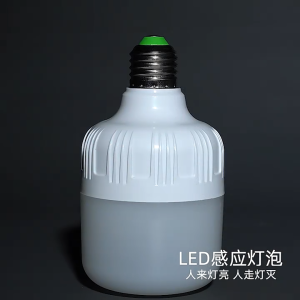 Auto ON/OFF Induction Bulb Sensor Automatic Motion Sensor LED Lamp Bulb Smart Voice-activated Bulb