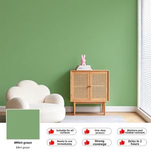 DAOXIN | Self-Brush Interior Latex Paint Anti-Mold Formaldehyde-Free Environmentally Friendly