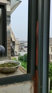 COD CEPAT Axcell Teropong Monocular Jarak Jauh Siang Malam Zoom Telescope Long Range 10-300x40 - AXC44