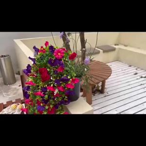 Durable Artificial Morning Glory Hanging Flowers UV Resistant Fake Garland for Home Garden Wedding Outdoor Party Decor