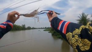 ตาเบ็ดตกกุ้ง เบ็ดตกกุ้ง ย่องมายก ตัวเบ็ดตกกุ้ง ที่ใช้แล้ว มั่นใจยกง่ายเบาๆก็ติด