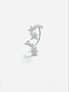 Shiny Luxury Earrings