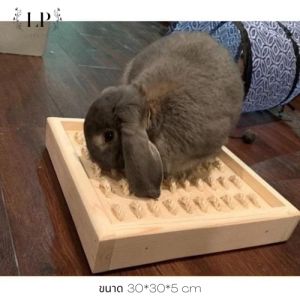 LP42 ของเล่น ที่ขุดกระกระต่าย ออกกำลังกายกระต่าย เพิ่มความเพลิดเพลิน สี่เหลี่ยมแบบตั้งพื้นและแขวนได้ งานไม้เกรดA