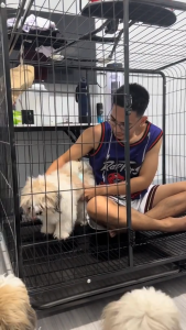 Heavy Duty Dog Cage with Poop Tray for Medium/Large Dogs Dog Pet Cage Removable Trays and With 4 Wheels Top Access and Sturdy Locks Design Easy To Assemble Metal Free Space Animals Pen Fence