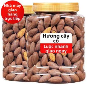 Hạt Torreya Trung Quốc Aromatic Lớn