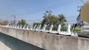 เหล็กกันขโมย รั้วลวดหนาม ยาว 125cm ลวด2มิล ลวดหนาม รั้วเหล็กกันขโมย รั้ว กำแพง สําหรับติดผนัง ประตูบ้าน กันนกบนระบียง หนามกันโจร ป้องกันขโมย รั้วเหล็กกันขโมย ราคา รั้วเหล็กกันขโมย แบบไหนดี - Lazada