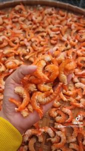 Tôm Khô Thiên Nhiên To Ngọt Cứng Màu Sắc Đẹp Tự Nhiên- ĐẶC SẢN MINH TRIẾT