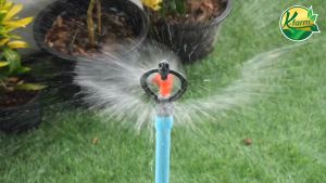 10 ตัว สปริงเกอร์ใบหูช้าง ให้น้ำกระจาย มี 3 สี โครงไม่หมุน พร้อม ข้อต่อ สวมท่อ 4 หูน และ 6 หูน สปริงเกอร์ ใบแฟนซี SPRINKLER K FARM