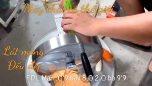 Máy cắt thái lát củ quả phơi khô . làm nộm xào ...