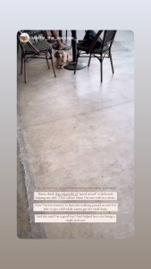 【Mi Pet Lover】Good Gut Better Mood 150g | Dog & Cat - Pet Supplement for Calmness & Happiness from the Inside Out