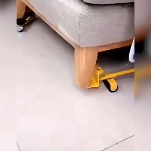 Dụng Cụ Nâng Và Hỗ Trợ Di Chuyển Vật Nặng Đồ Đạc Thông Minh - Tải Trọng Tối Đa 400kg