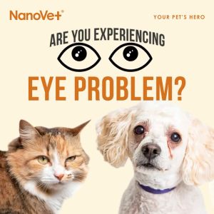 Nanovet Pet Eye + Tear Stain Solution Kit