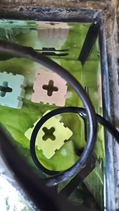 วัสดุกรอง เซรามิกริงค์ Ceramic 5สี รูปทรงสี่เหลี่ยม 8 ร่อง filter วัสดุกรองตู้ปลา แบ่งขายเป็นชิ้น ขนาด 4.5*4.5* 3 cm