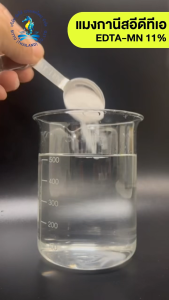 ปุ๋ยเแมงกานีส ปุ๋ยคีเลทแมงกานีส (1กก.) ธาตุเสริม ซิตโต้ โฟโปร EDTA Mn 11% แมงกานีส 11%