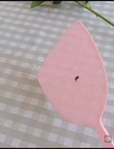 Fly Swatter Thickened Mosquito Plastic Long Handle Flies Durable Home Extended Manula Swatter