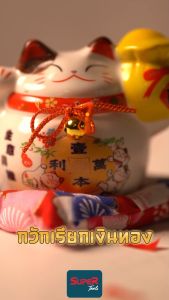 แมวญี่ปุ่น แมวนำโชค 4001-3