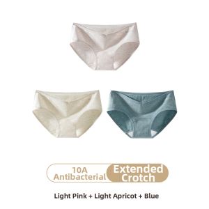 Antibacterial Cotton Womens Panties Low Waist