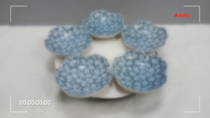 [ Woosilver ] Bộ 5 Đĩa Hoa Anh Đào Gốm Sứ Secondhand - BGS65