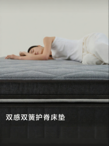 aTOUR PLANET | Antibacterial Mite-Repelling Spinal Support Mattress