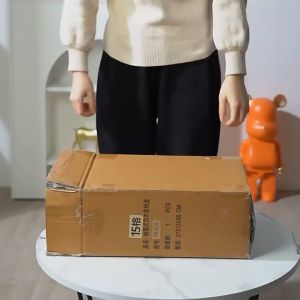 [SG Seller]Household Wardrobe Underwear Storage/Wardrobe Organizer Box Bra Socks Organiser