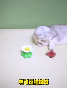【COD】Cat Toys Electric Rotating Bird Cat Toy Colorful Butterfly Bird Flying Funny Toy Automatic Pet Interactive Toys