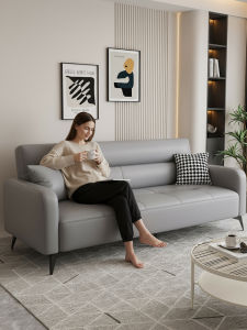 Modern Minimalist Cat Scratching Leather Sofa Bed Multi-Functional Dual Use Living Room Apartment Small Model Fabric Sofa