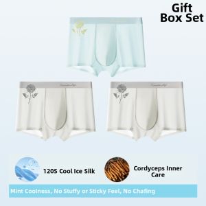 MiiOW | Ice Silk Thin Summer Briefs