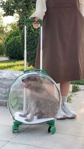 Tas Transparan Kucing Anjing Trolley Cargo Travel Bag Cat Dog Koper Portable