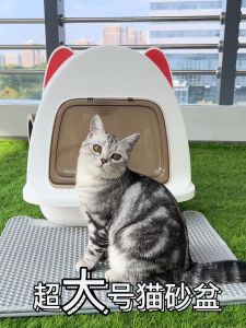 Cat Litter Boxes Large Cat Toilet Cat Litter Box Full Cover Cat Ear Shaped Fully Enclosed Deodorizing Maine Coon Puppet Yoked 30 Catties Cat Available