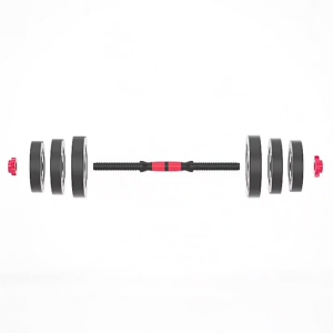 eBUY【COD】Dumbbell Plate Weight Plate For Dumbbell Barbell Plates 1KG/1.25KG/1.5KG/4KG/5KG/6KG/10KG Fitness Equipment
