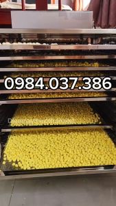 Máy sấy viên hoàn máy sấy thuốc bắc