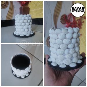 tempat pensil kerang unik pot bunga kerang prakarya