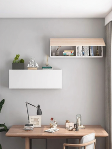 buildreamh | Wall-mounted Bookshelf with Doors Hanging Storage Cabinet