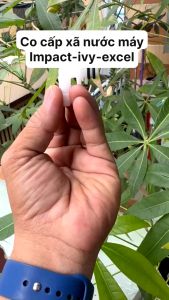 Co cấp xã nước máy lọc nước ion kiềm IVY-IMPACT-EXCEL