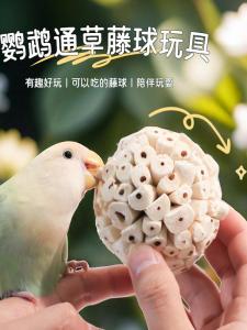 Parrot Toy Monastic Parrot Biting Toy Delectation Solitary Joy Tiger Lily Peacock Cage Decoration Parrot Class High Energy Parrot