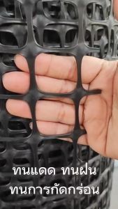 ยกม้วน30m ตาข่ายพลาสติก สูง1m/1.2m/1.5m/2m ปูพื้นเสริมกำลังดิน ทำรั้วกั้น กรงสัตว์ วัสดุกันสาร UV ไม่กรอบง่าย ทนแดด ทนฝน ใช้งานได้ยาวนาน HDPE Biaxial Geogrid ตาข่ายพลาสติก 2 ม - Lazada