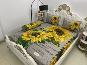 [HCM]Bộ Drap+áo gối thun Ý 5D Cao Cấp mát lạnh thấm hút tốt.