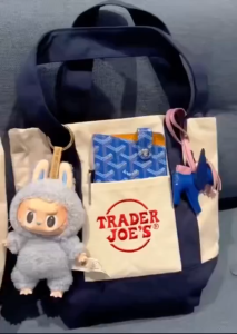 TRADER JOE’S CANVAS LARGE Mini Pocket Tote Bag Back To Back Pockets All Colors And Sizes 4PHL