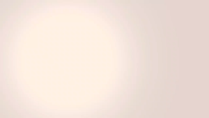 baju distro anak kaos indonesia burung (GARUDA NUSANTARA) dirgahayu indonesia