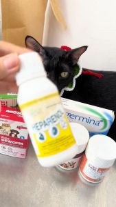 Heparenol hỗ trợ bổ gan bổ thận thải độc tố mát gan cho chó mèo 100ml