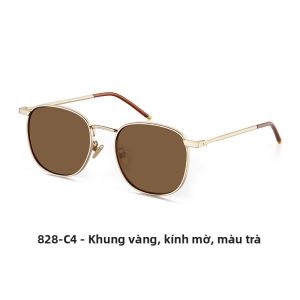 Colore.in | Kính Chống Tia UV Phân Cực Khung Kim Loại