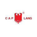 Minyak Kayu Putih 60ml Cap Lang. 
