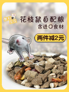 Olipipi Self-Prepared High-Protein Triangle Flower Branch Mouse Food Young Mouse Diet Main Grain Pet Toy Decoration Supplies
