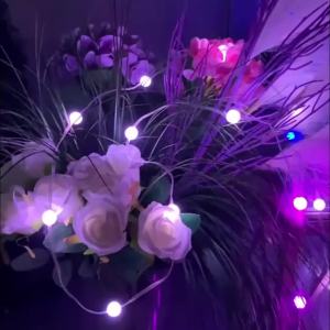 Bluetooth USB LED String Light RGBIC Round Garland Light Smart Color Changing Garden Lights String For Home Festival Decor
