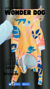 ชุดเก็บขนสุนัข wonder dog เสื้อสุนัข เสื้อหมา เสื้อแมว ชุดกันขนร่วงสุนัข ชุดสุนัก ชุดหมาชุดแมว ชุดสัตว์เลี้ยง ส้ม เหลือง