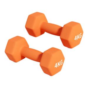 Solid Coated Dumbbell 4kg