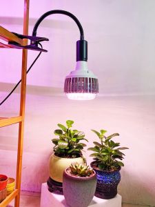 E27 Screw Threaded Full Spectrum Plant Growth Light Bulb for Potted Plants Seedling Cultivation Indoor Gardening Lighting