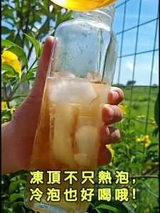 Taiwan Tea Dong Ding Oolong Tea